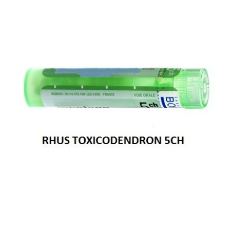 Rhus toxicodendron 5ch 80gr 4g Rhus toxicodendron 5ch 80gr 4g