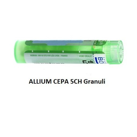 Allium cepa 5ch 80gr 4g Allium cepa 5ch 80gr 4g