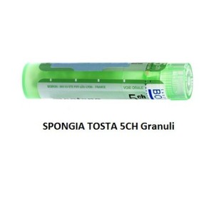 Spongia tosta 5ch gr Spongia tosta 5ch gr