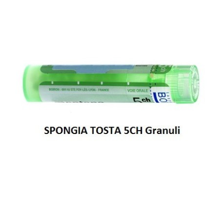 Spongia tosta 5ch gr