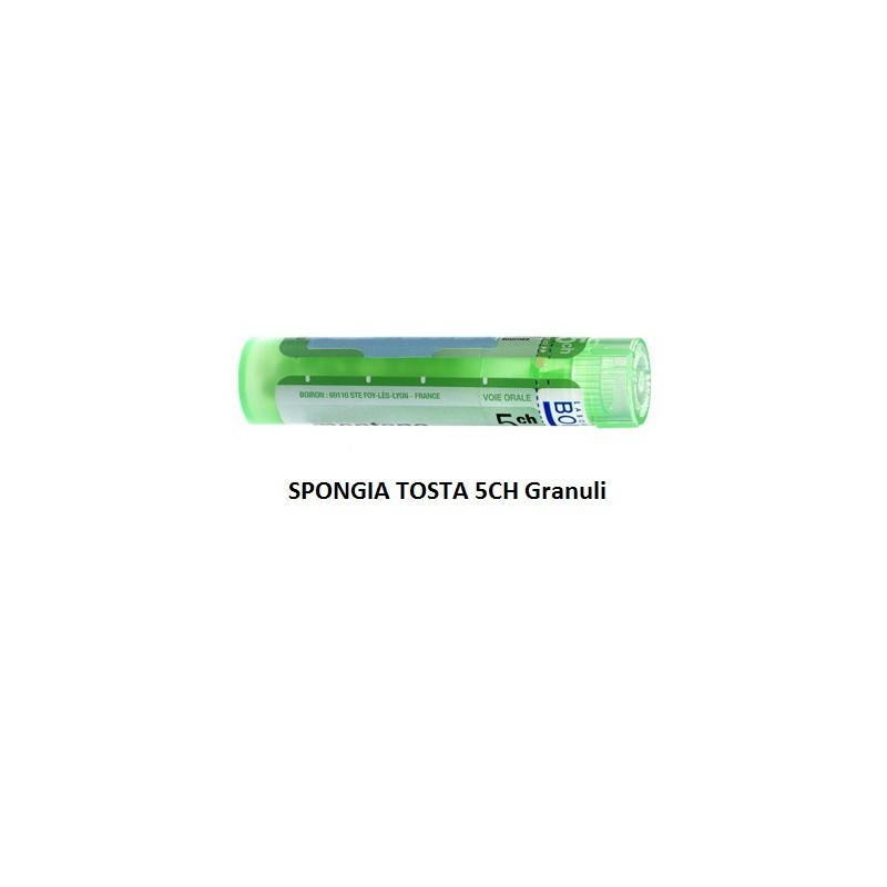 Spongia tosta 5ch gr Spongia tosta 5ch gr
