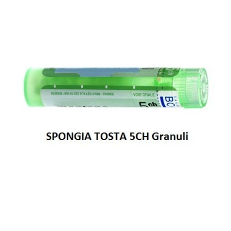 Spongia tosta 5ch gr Spongia tosta 5ch gr
