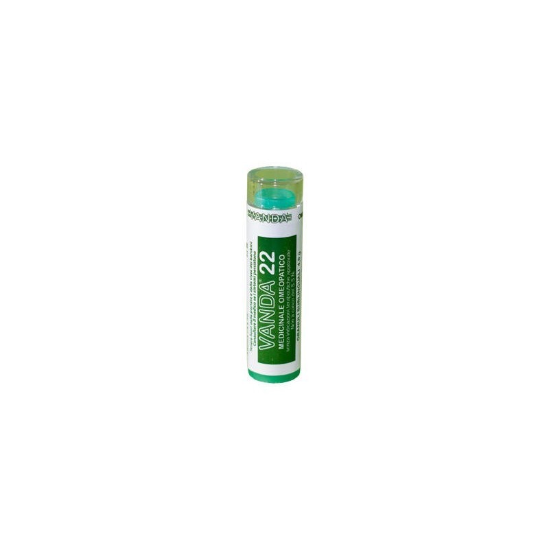 Vanda 22 gr 4g