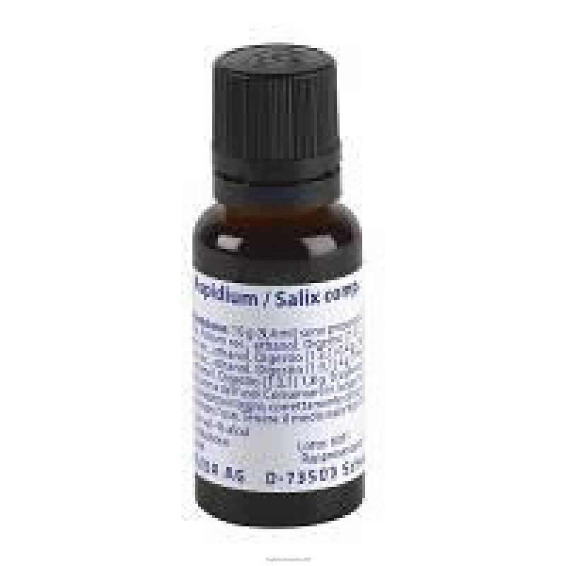 Aspidium/salix cp 50ml gtt