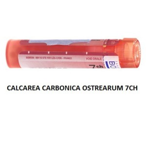 Calcarea carb ost 7ch gr Calcarea carb ost 7ch gr