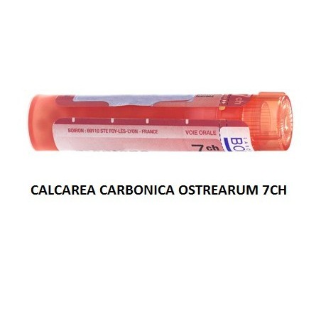 Calcarea carb ost 7ch gr Calcarea carb ost 7ch gr