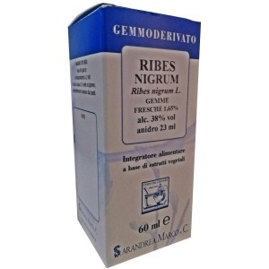 Ribes nigrum 60ml mg