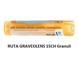 Ruta graveolens (boiron) 80 granuli 15 ch contenitore multidose