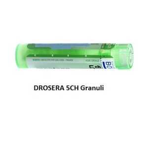 Drosera (boiron) granuli 5 ch contenitore multidose Drosera (boiron) granuli 5 ch contenitore multidose