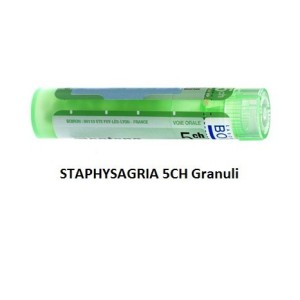 Staphysagria (boiron) 80 granuli 5 ch contenitore multidose