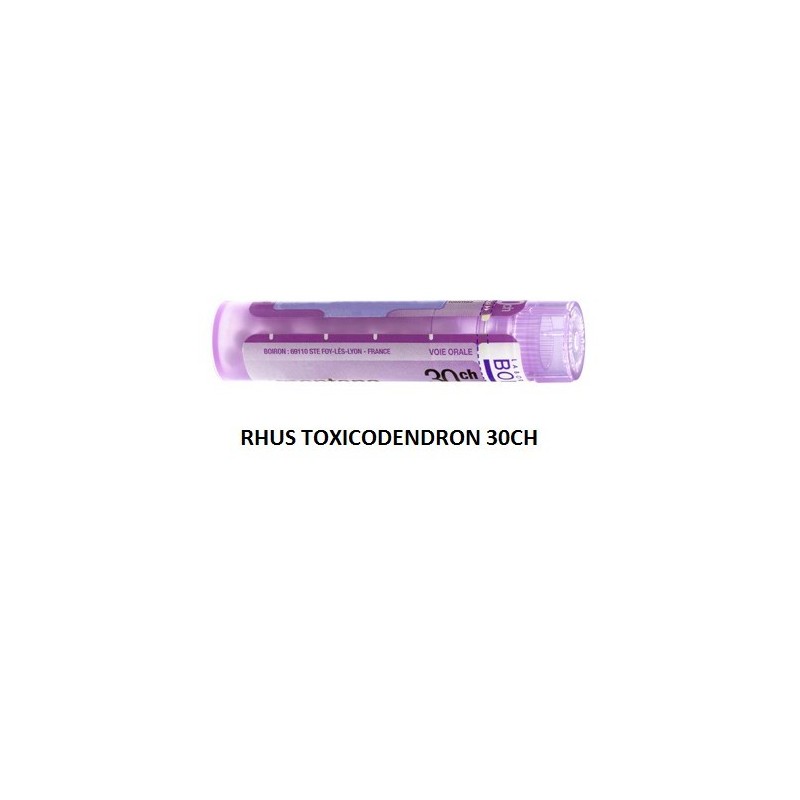 Rhus toxicodendron (boiron) 80 granuli 30 ch contenitore multidose