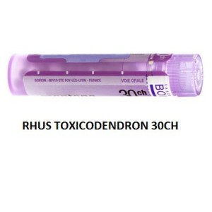 Rhus toxicodendron (boiron) 80 granuli 30 ch contenitore multidose Rhus toxicodendron (boiron) 80 granuli 30 ch contenitore multidose