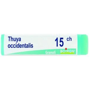 Thuya occidentalis 15 ch globuli Thuya occidentalis 15 ch globuli