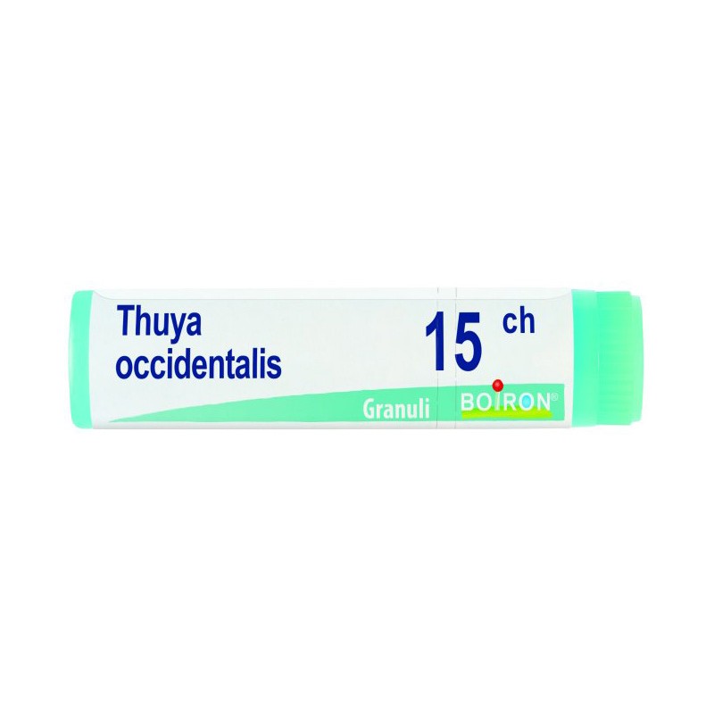 Thuya occidentalis 15 ch globuli