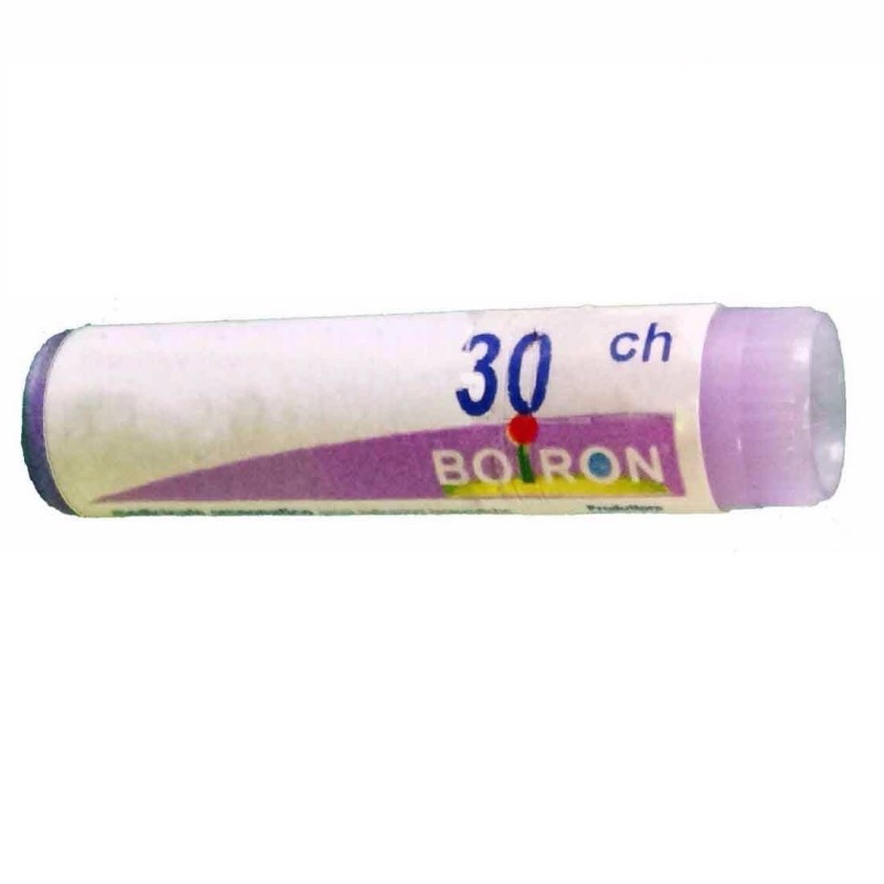 Ledum palustre 30 ch globuli