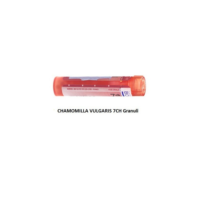 Chamomilla vulgaris (boiron) 80 granuli 7 ch contenitore multidose Chamomilla vulgaris (boiron) 80 granuli 7 ch contenitore multidose