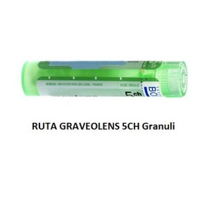 Ruta graveolens (boiron) 80 granuli 5 ch contenitore multidose Ruta graveolens (boiron) 80 granuli 5 ch contenitore multidose