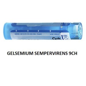 Gelsemium sempervirens (boiron) 80 granuli 9 ch contenitoremultidose Gelsemium sempervirens (boiron) 80 granuli 9 ch contenitoremultidose