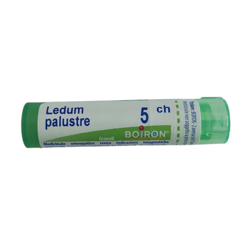 Ledum palustre (boiron) 80 granuli 5 ch contenitore multidose Ledum palustre (boiron) 80 granuli 5 ch contenitore multidose