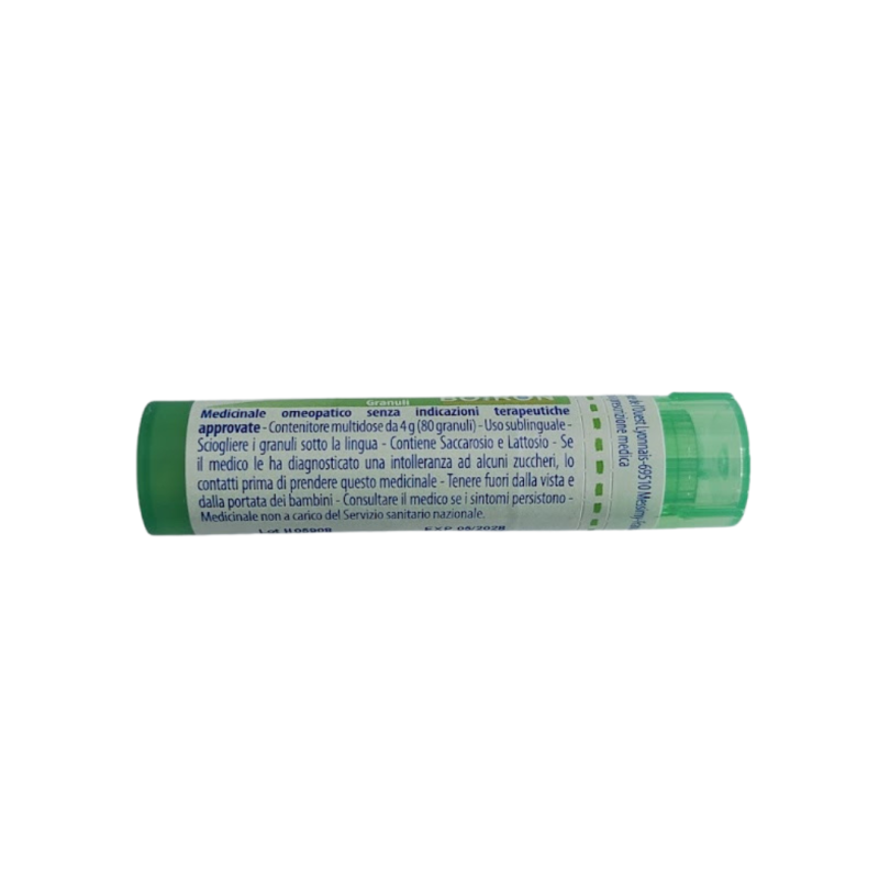 Ledum palustre (boiron) 80 granuli 5 ch contenitore multidose Ledum palustre (boiron) 80 granuli 5 ch contenitore multidose