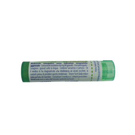 Ledum palustre (boiron) 80 granuli 5 ch contenitore multidose Ledum palustre (boiron) 80 granuli 5 ch contenitore multidose