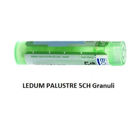 Ledum palustre (boiron) 80 granuli 5 ch contenitore multidose Ledum palustre (boiron) 80 granuli 5 ch contenitore multidose
