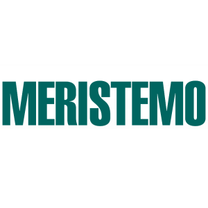 Meristemo