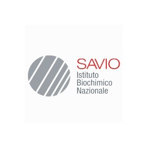 I. B. N. Savio