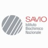 I.b.n. Savio