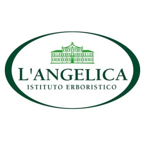 L’angelica