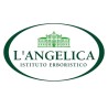 L’angelica