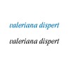 Valeriana dispert