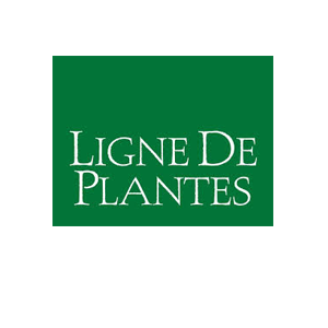 Ligne de plantes