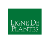 Ligne de plantes