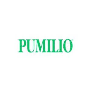 Pumilio