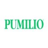 Pumilio