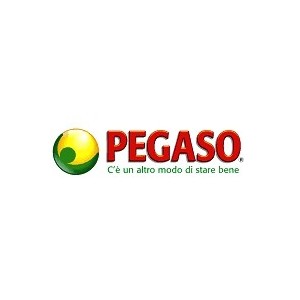 Pegaso