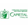 Capietal italia