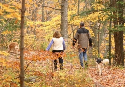 Come prepararsi all'autunno e sostenere le difese Come prepararsi all'autunno e sostenere le difese