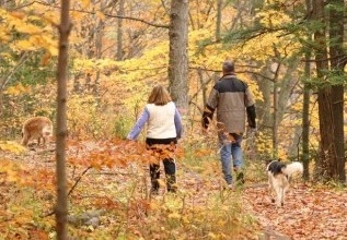 Come prepararsi all'autunno e sostenere le difese